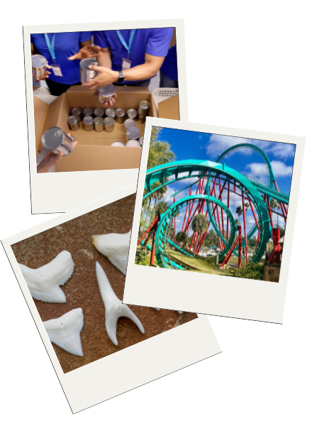 Joy Doukas Snapshots